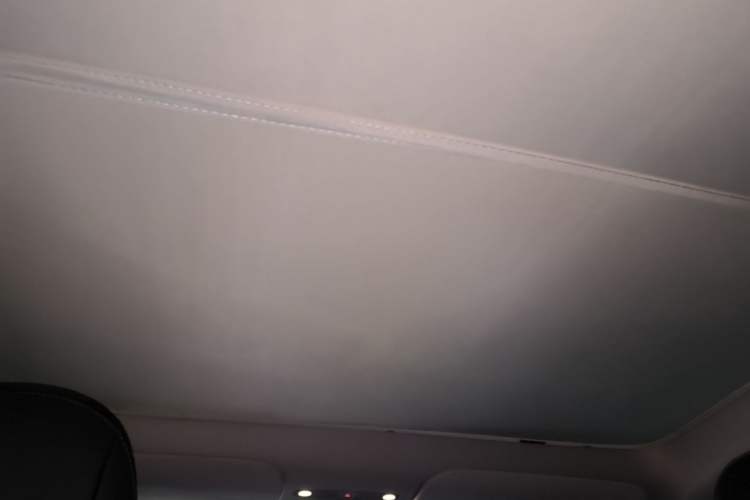 Used Tesla Model Y 2021 Long-Range All-Wheel-Drive Version 3D7 Headliner