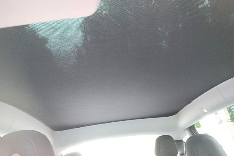 Used Tesla Model Y 2021 Performance High-Performance All-Wheel-Drive Version Headliner