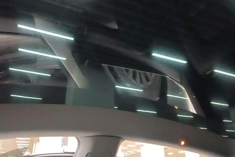Used Tesla Model Y 2021 Standard Range Rear-Wheel Drive Version Headliner