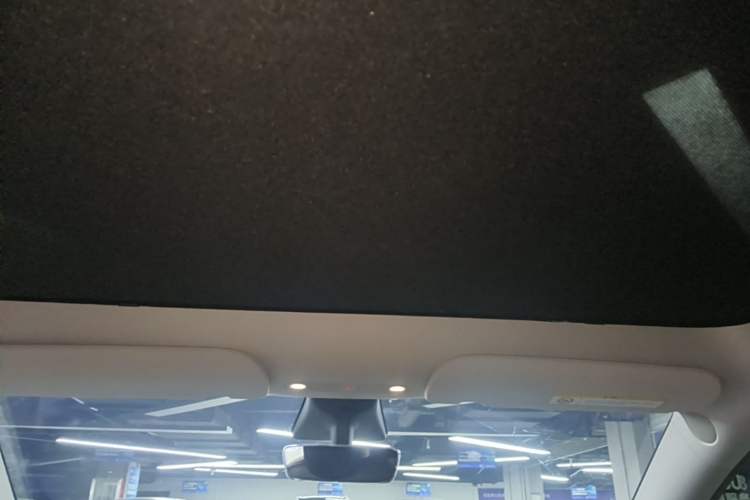 Used Tesla Model Y 2021 Long-Range All-Wheel-Drive Version Headliner