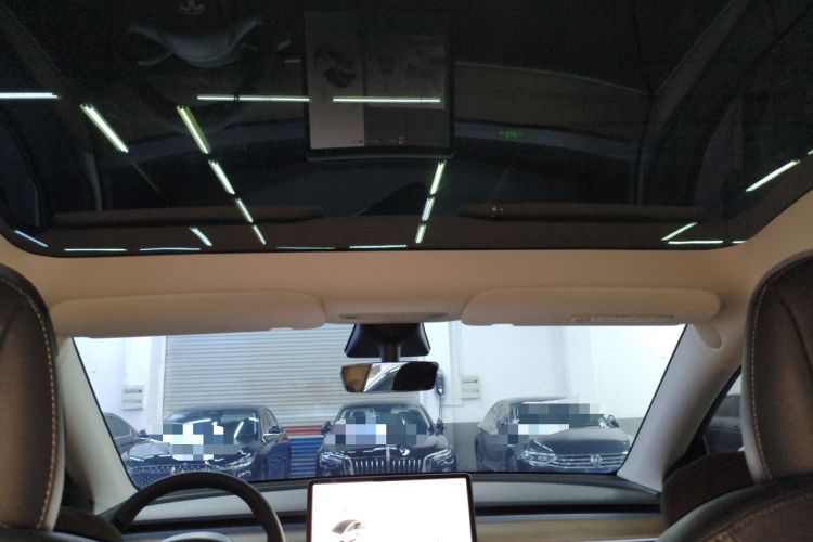 Used Tesla Model Y 2021 Standard Range Rear-Wheel Drive Version Headliner