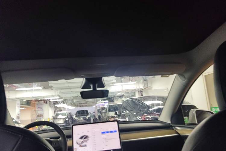 Used Tesla Model Y 2021 Standard Range Rear-Wheel Drive Version Headliner