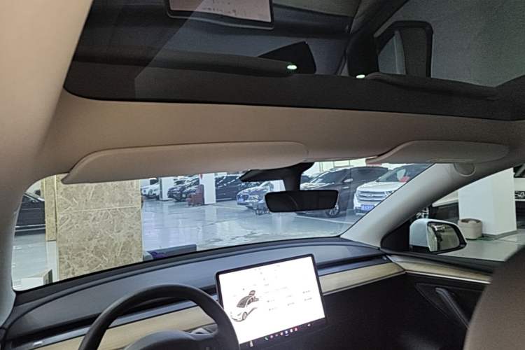Used Tesla Model Y 2021 Long-Range All-Wheel-Drive Version Headliner
