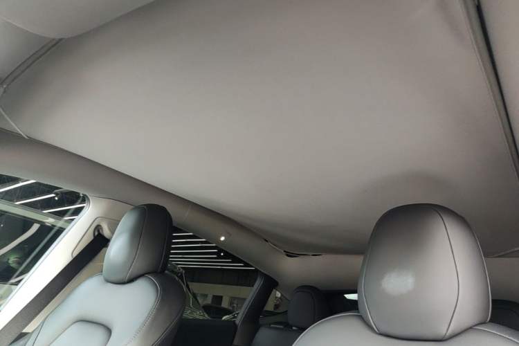 Used Tesla Model Y 2021 Long-Range All-Wheel-Drive Version Headliner