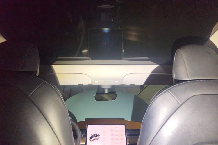 Used Tesla Model Y 2021 Standard Range Rear-Wheel Drive Version Headliner