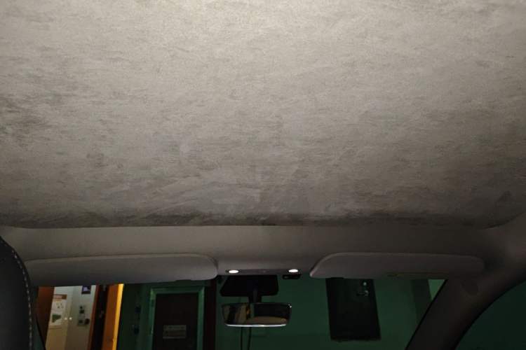 Used Tesla Model Y 2021 Standard Range Rear-Wheel Drive Version Headliner