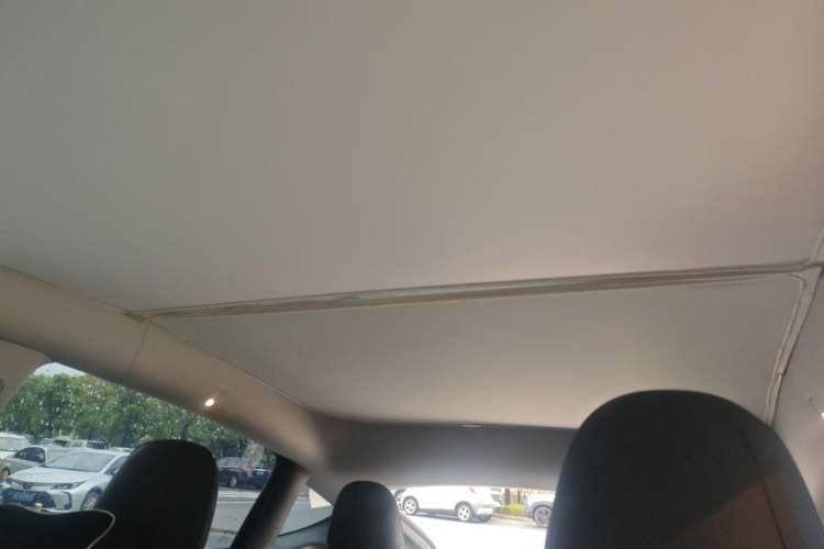Used Tesla Model Y 2021 Standard Range Rear-Wheel Drive Version Headliner
