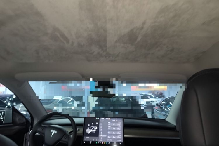 Used Tesla Model Y 2021 Long-Range All-Wheel-Drive Version Headliner