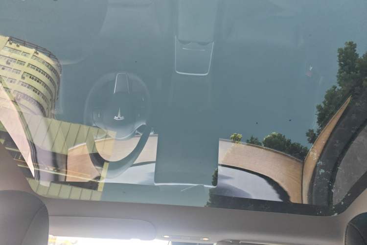 Used Tesla Model Y 2021 Standard Range Rear-Wheel Drive Version Headliner