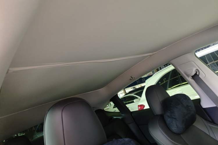 Used Tesla Model Y 2021 Performance High-Performance All-Wheel-Drive Version Headliner