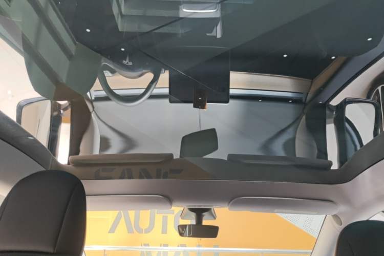 Used Tesla Model Y 2021 Standard Range Rear-Wheel Drive Version Headliner