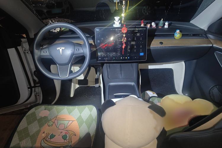 Used Tesla Model Y 2021 Standard Range Rear-Wheel Drive Version Interior 2