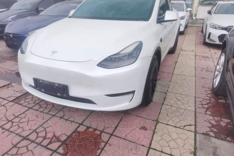 Used Tesla Model Y 2021 Long-Range All-Wheel-Drive Version Left Front Headlight