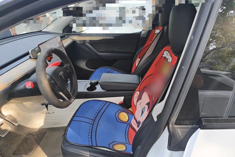 Used Tesla Model Y 2021 Standard Range Rear-Wheel Drive Version Left Front Seat