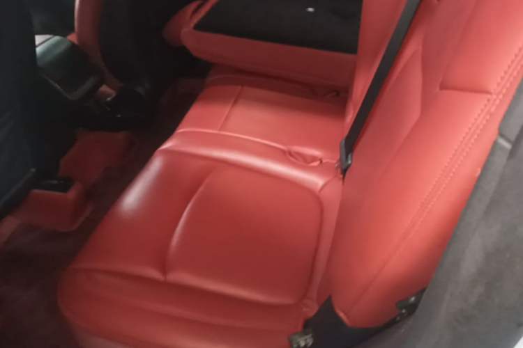 Used Tesla Model Y 2021 Revised Version 2 Long-Range All-Wheel-Drive Edition Left Rear Seat