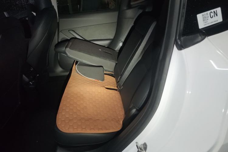 Used Tesla Model Y 2021 Standard Range Rear-Wheel Drive Version Left Rear Seat