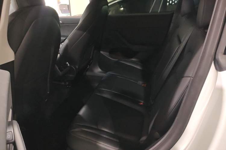 Used Tesla Model Y 2021 Revised Version 2 Long-Range All-Wheel-Drive Edition Left Rear Seat