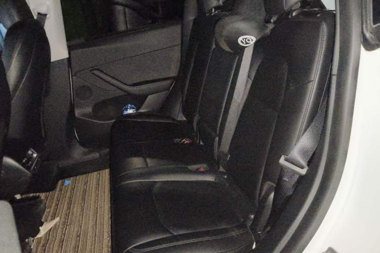Used Tesla Model Y 2021 Standard Range Rear-Wheel Drive Version Left Rear Seat