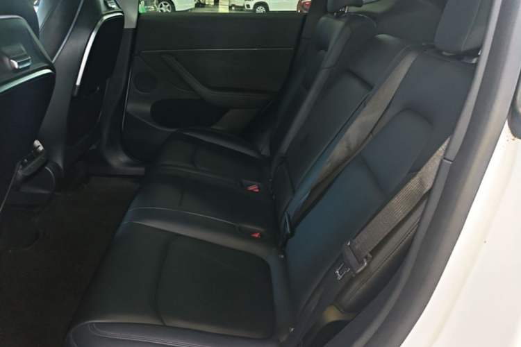 Used Tesla Model Y 2021 Long-Range All-Wheel-Drive Version Left Rear Seat