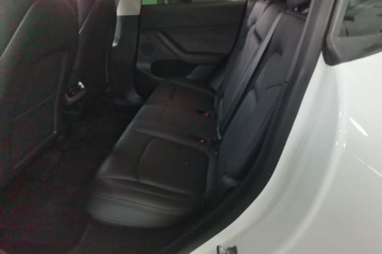 Used Tesla Model Y 2021 Standard Range Rear-Wheel Drive Version Left Rear Seat