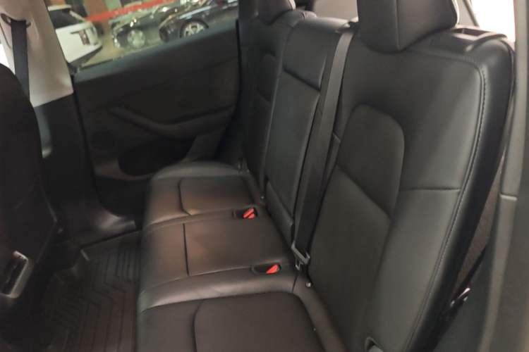 Used Tesla Model Y 2021 Standard Range Rear-Wheel Drive Version Left Rear Seat