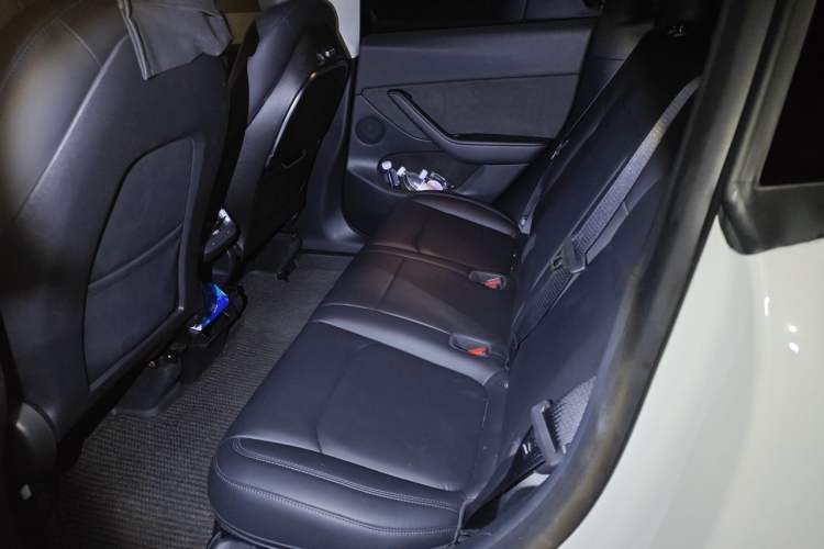Used Tesla Model Y 2021 Standard Range Rear-Wheel Drive Version Left Rear Seat