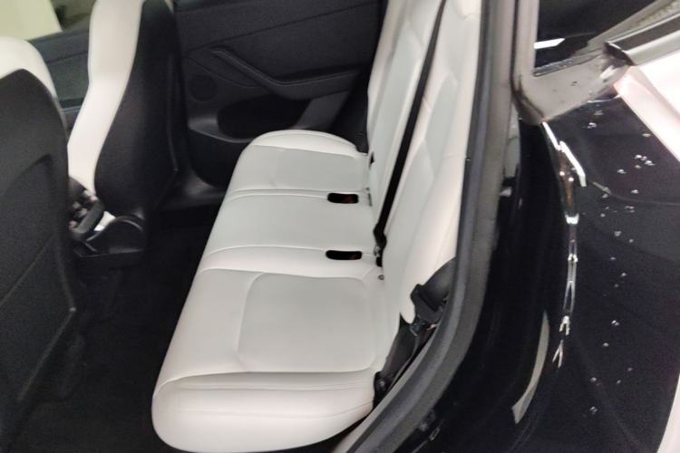 Used Tesla Model Y 2021 Performance High-Performance All-Wheel-Drive Version Left Rear Seat
