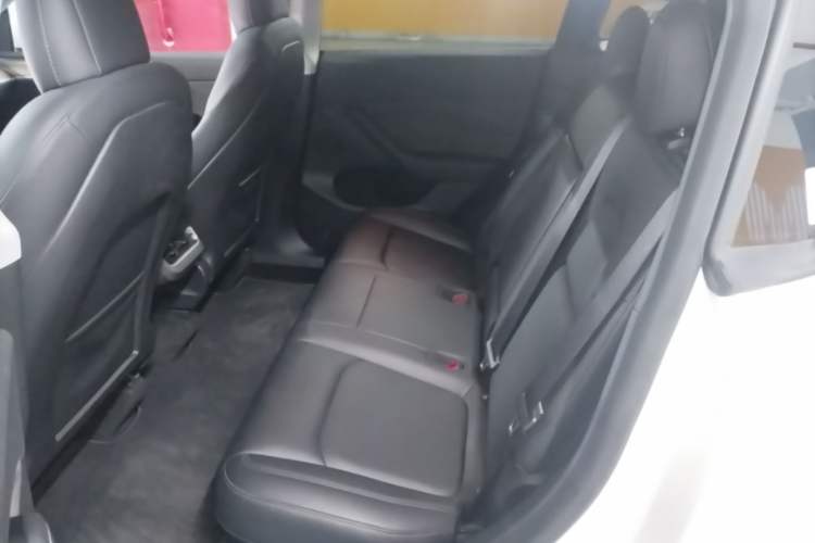 Used Tesla Model Y 2021 Standard Range Rear-Wheel Drive Version Left Rear Seat