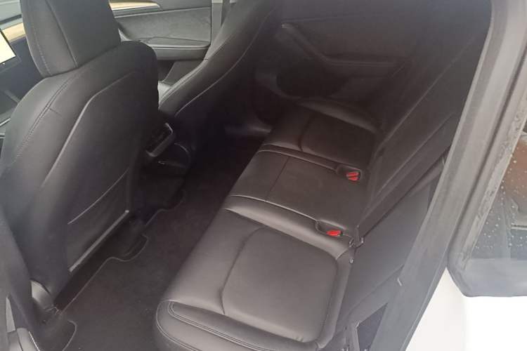 Used Tesla Model Y 2021 Long-Range All-Wheel-Drive Version Left Rear Seat