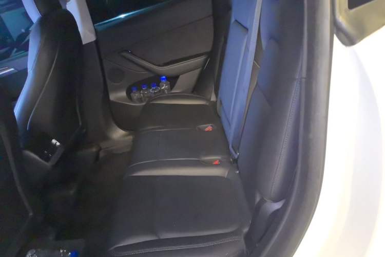 Used Tesla Model Y 2021 Standard Range Rear-Wheel Drive Version Left Rear Seat
