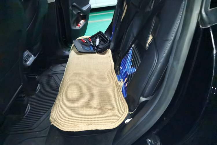 Used Tesla Model Y 2021 Standard Range Rear-Wheel Drive Version Left Rear Seat