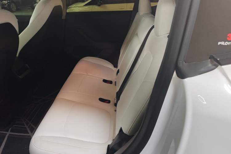 Used Tesla Model Y 2021 Performance High-Performance All-Wheel-Drive Version Left Rear Seat