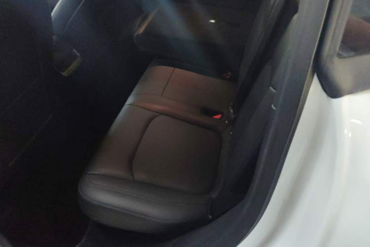 Used Tesla Model Y 2021 Long-Range All-Wheel-Drive Version Left Rear Seat