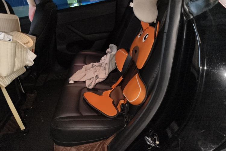 Used Tesla Model Y 2021 Standard Range Rear-Wheel Drive Version Left Rear Seat
