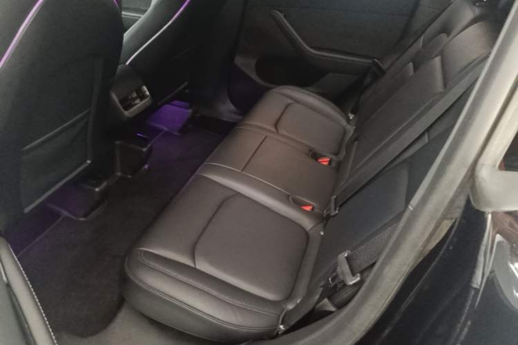 Used Tesla Model Y 2021 Performance High-Performance All-Wheel-Drive Version Left Rear Seat