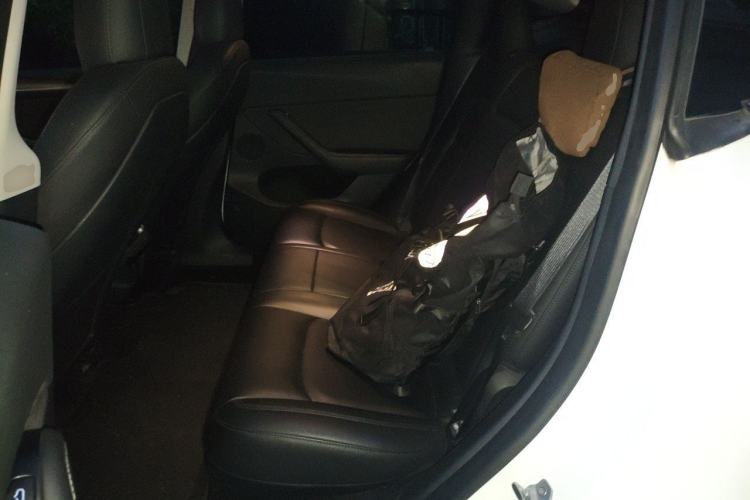 Used Tesla Model Y 2021 Long-Range All-Wheel-Drive Version Left Rear Seat