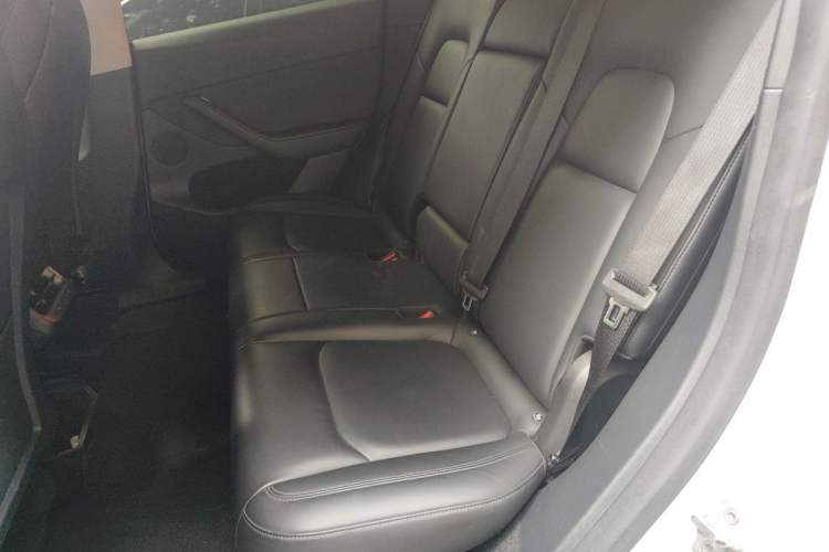 Used Tesla Model Y 2021 Long-Range All-Wheel-Drive Version Left Rear Seat