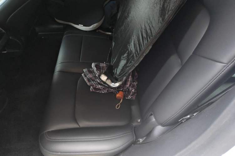 Used Tesla Model Y 2021 Standard Range Rear-Wheel Drive Version Left Rear Seat