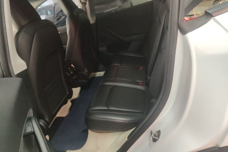 Used Tesla Model Y 2021 Standard Range Rear-Wheel Drive Version Left Rear Seat