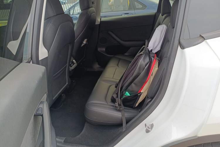 Used Tesla Model Y 2021 Long-Range All-Wheel-Drive Version 3D7 Left Rear Seat