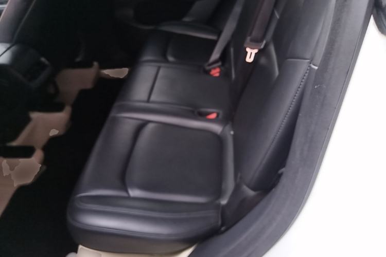 Used Tesla Model Y 2021 Standard Range Rear-Wheel Drive Version Left Rear Seat