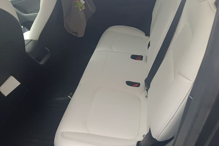 Used Tesla Model Y 2021 Standard Range Rear-Wheel Drive Version Left Rear Seat