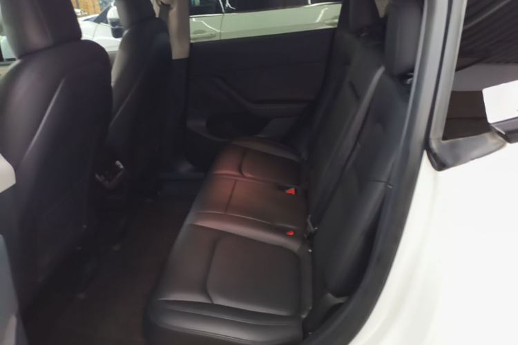 Used Tesla Model Y 2021 Long-Range All-Wheel-Drive Version Left Rear Seat