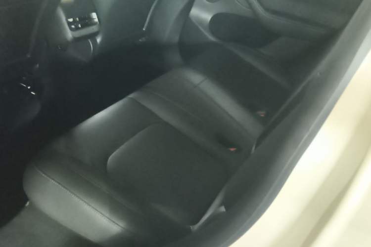 Used Tesla Model Y 2021 Long-Range All-Wheel-Drive Version Left Rear Seat