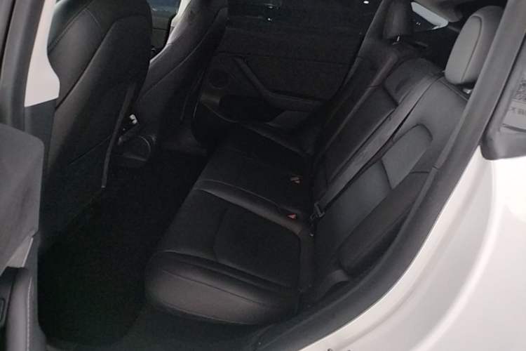 Used Tesla Model Y 2021 Standard Range Rear-Wheel Drive Version Left Rear Seat