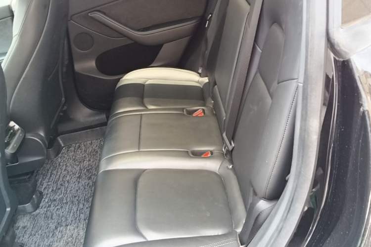 Used Tesla Model Y 2021 Long-Range All-Wheel-Drive Version 3D7 Left Rear Seat
