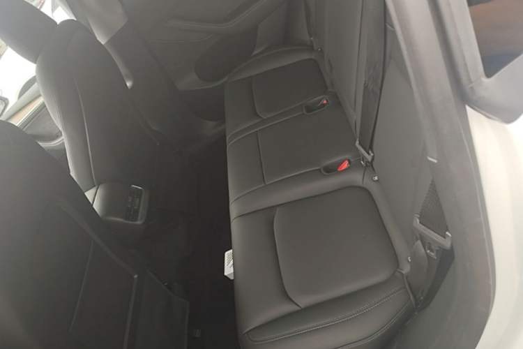 Used Tesla Model Y 2021 Standard Range Rear-Wheel Drive Version Left Rear Seat