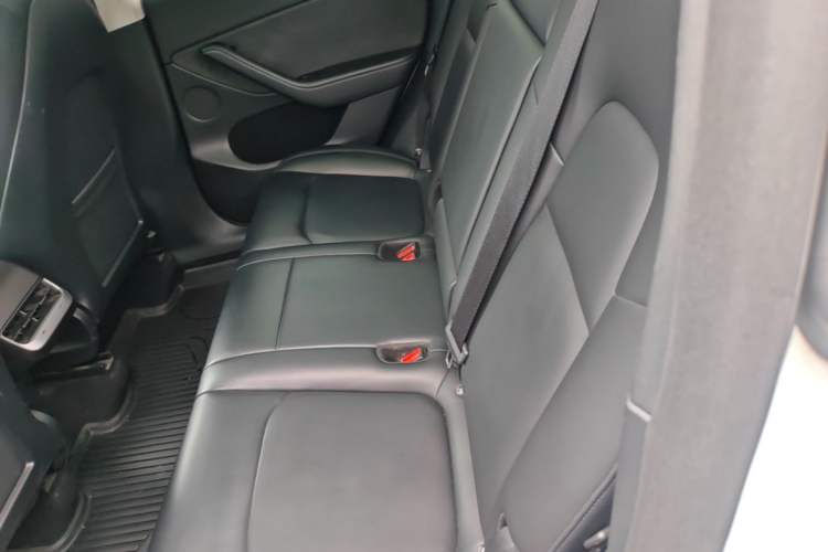 Used Tesla Model Y 2021 Long-Range All-Wheel-Drive Version 3D7 Left Rear Seat