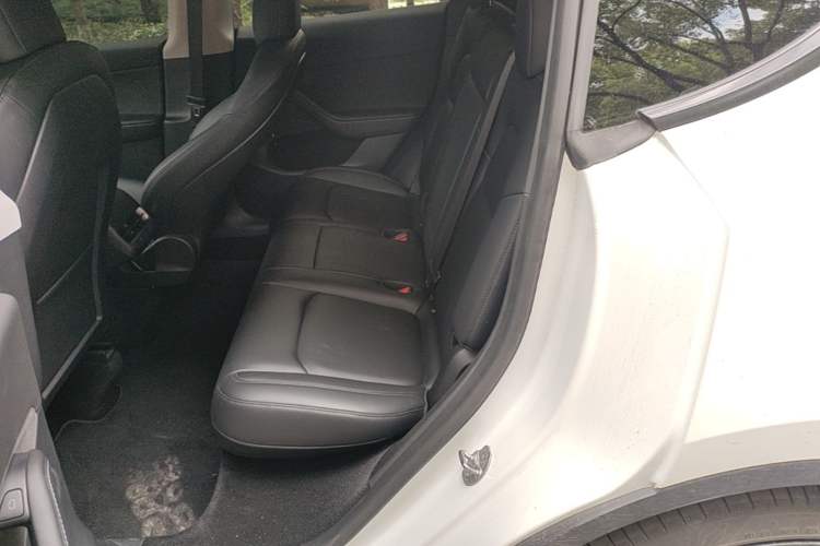 Used Tesla Model Y 2021 Performance High-Performance All-Wheel-Drive Version Left Rear Seat