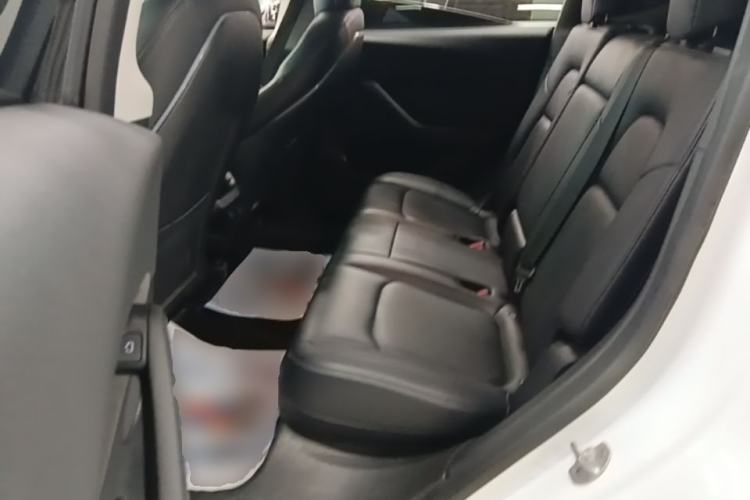 Used Tesla Model Y 2021 Standard Range Rear-Wheel Drive Version Left Rear Seat